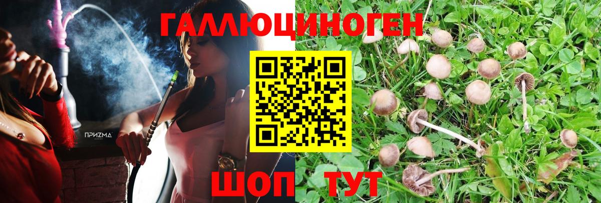 Ахтубинск  Псилоцибиновые грибы Psilocybe  Псилоцибиновые грибы Psilocybine cubensis  Вход с VPN 