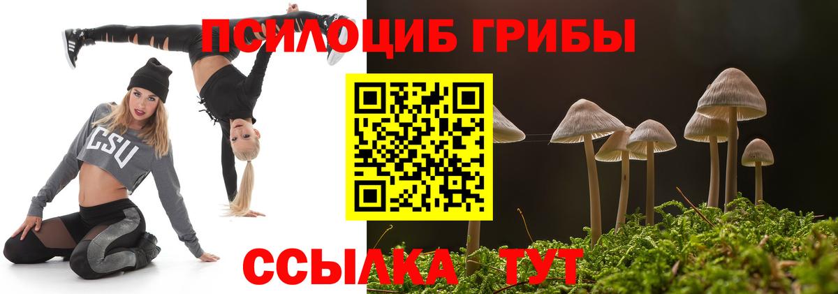 Псилоцибиновые грибы ЛСД Ахтубинск
